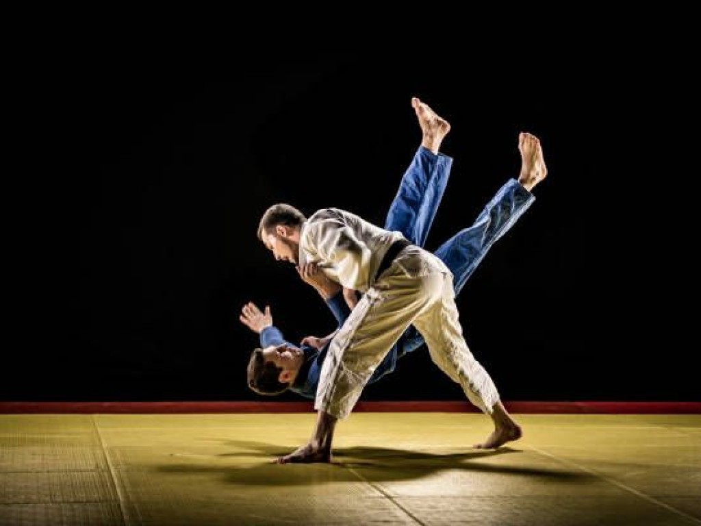 Image de l'actu 'Formation grade kata  UV1 et technique UV2 départementale, samedi 11 Avril'