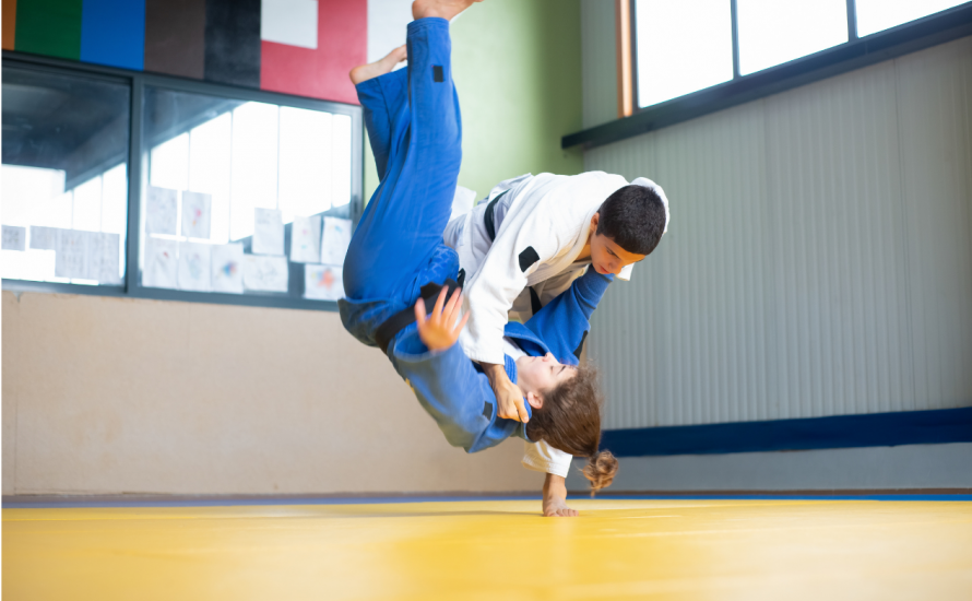 Formation grade kata  UV1 et technique UV2 départementale, samedi 10 Janvier à Dreux